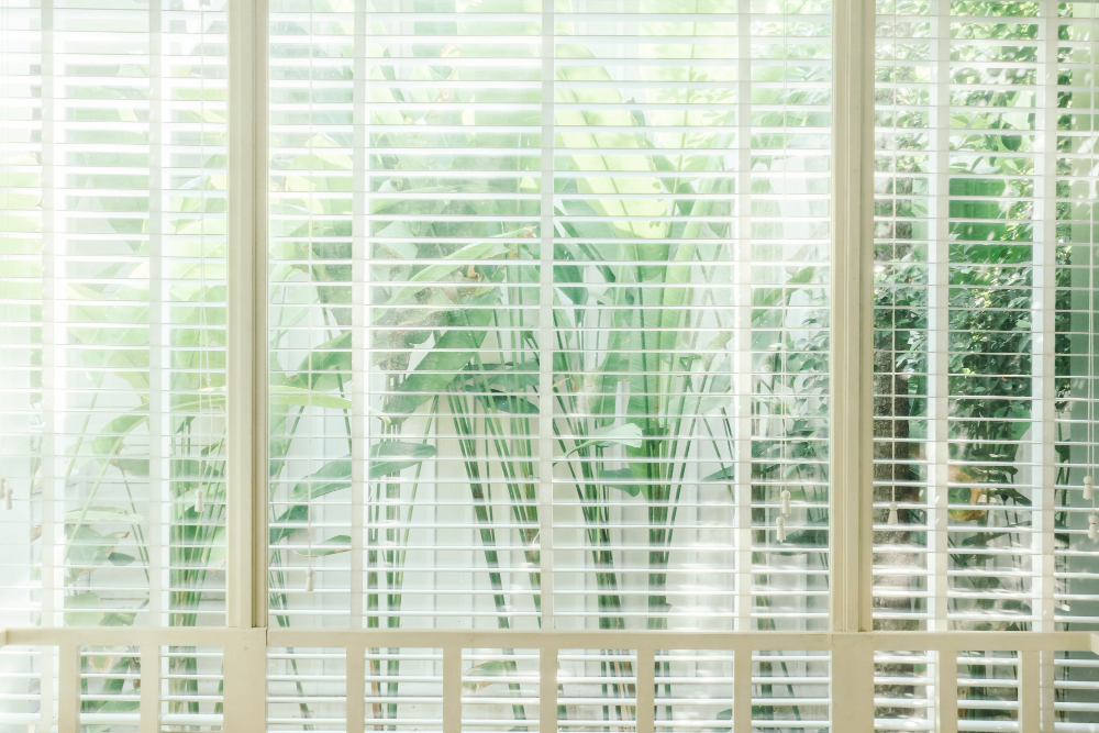 A Comprehensive Guide to the Popular Types of Window Shades