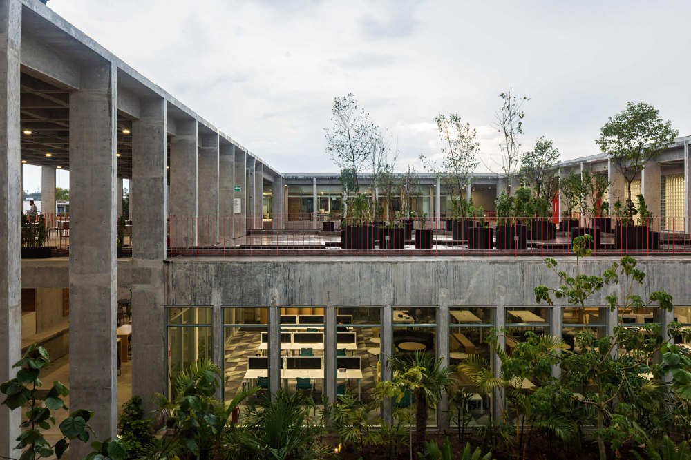 Eco-Friendly Options for Your Next Commercial Remodel